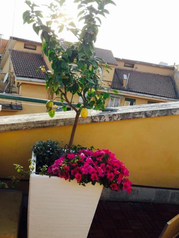 Al Civico Bed and breakfast