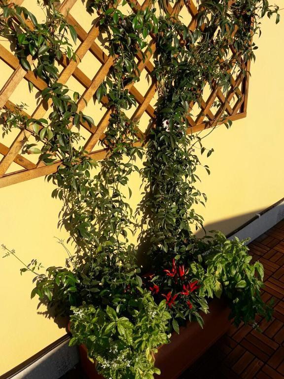 Al Civico Bed and breakfast